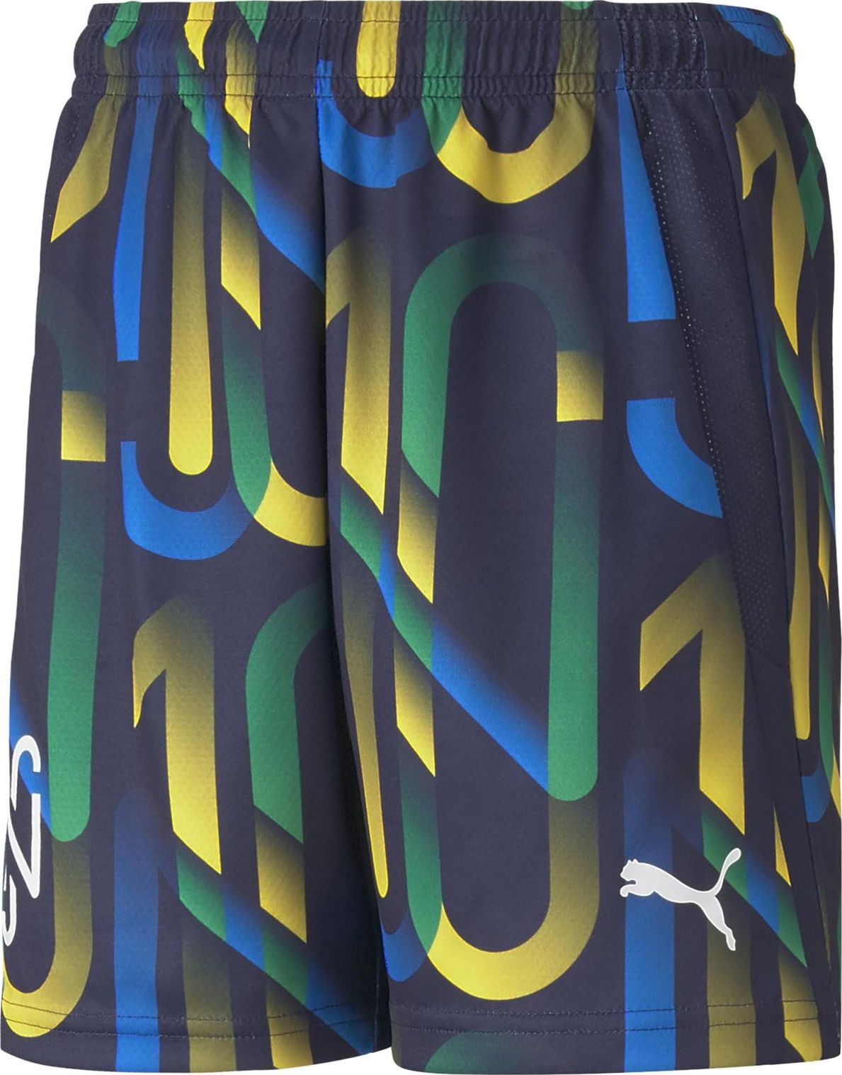 Chlapecké kraťasy Puma Puma Neymar tmavě modrá 60554106 140