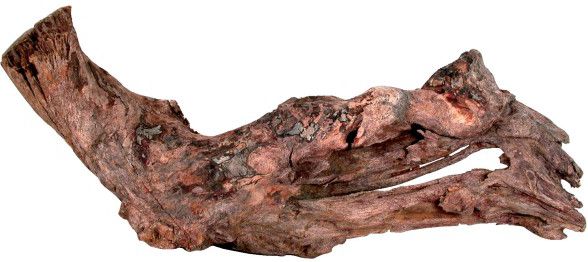 Zolux Mangrove Kořen 15-25 cm