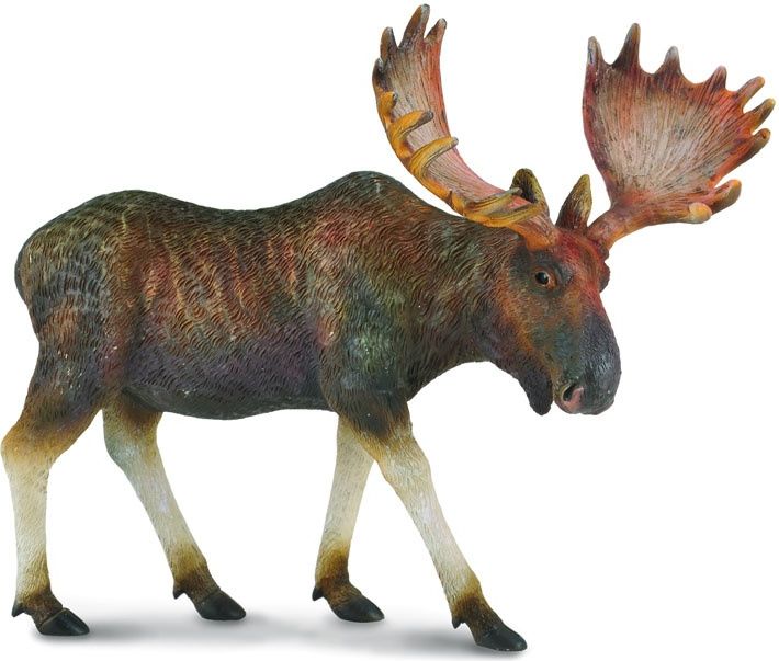 Soška Collecta Moose (004-88335)