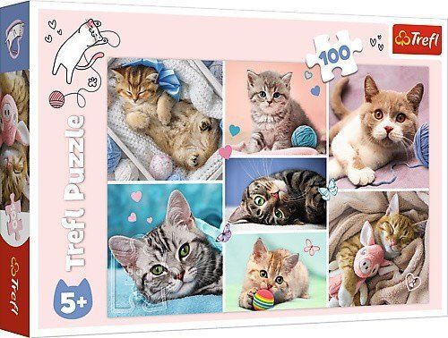 Trefl Puzzle 100 dílků V kočičím světě