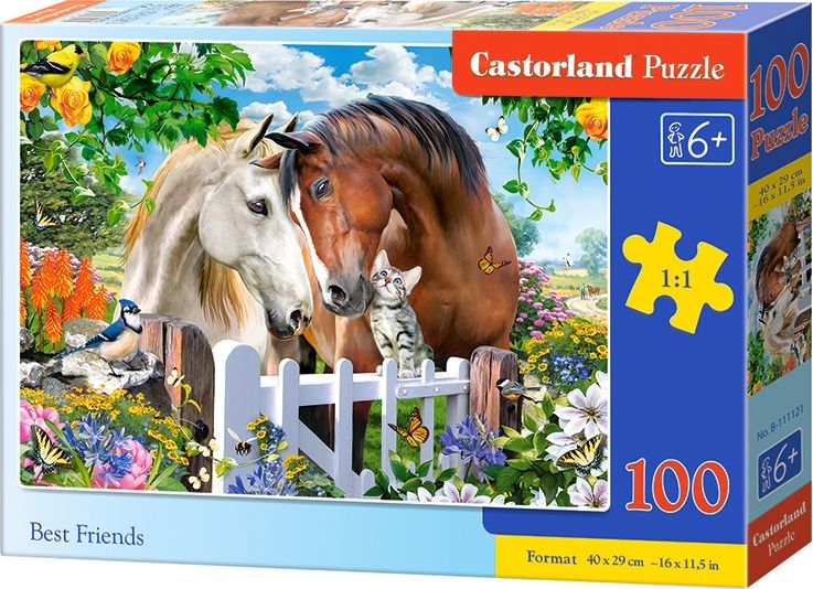 Castorland Puzzle 100 ks  kone
