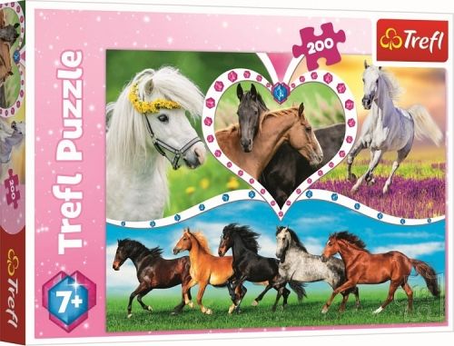 Puzzle 200 dielikov - Nádherné kone