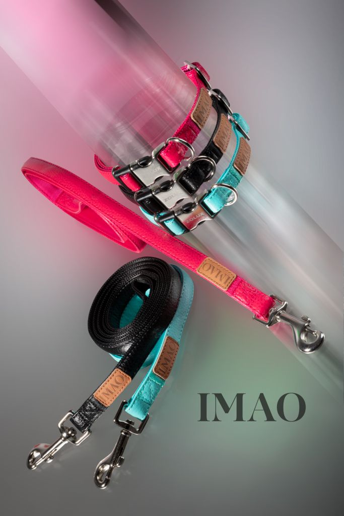 Zolux Postroj ZOLUX IMAO PICCADILLY 25 mm tyrkysový