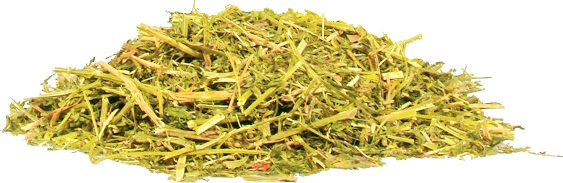 Zolux ZOLUX Seno 1 kg