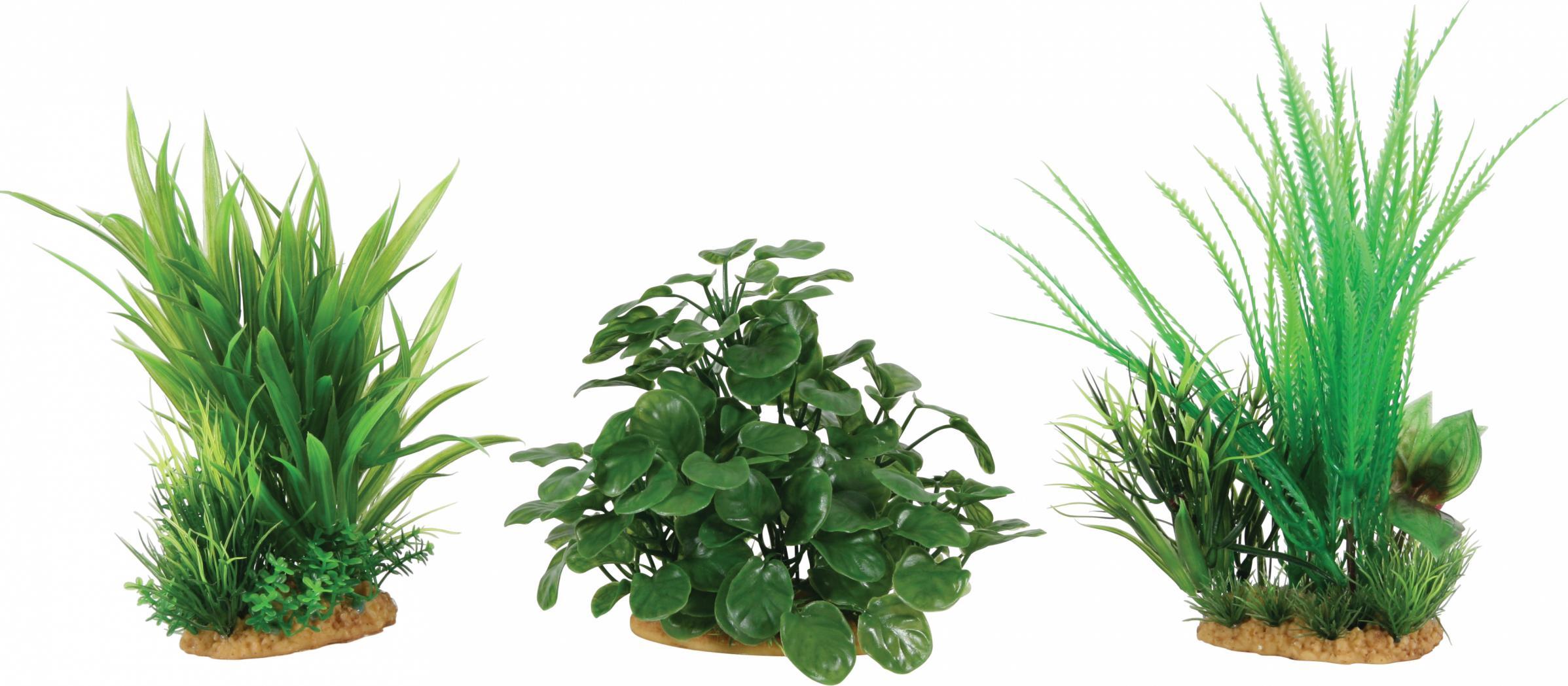 Zolux ZOLUX Výstavní rostliny M 6 ks - sada B