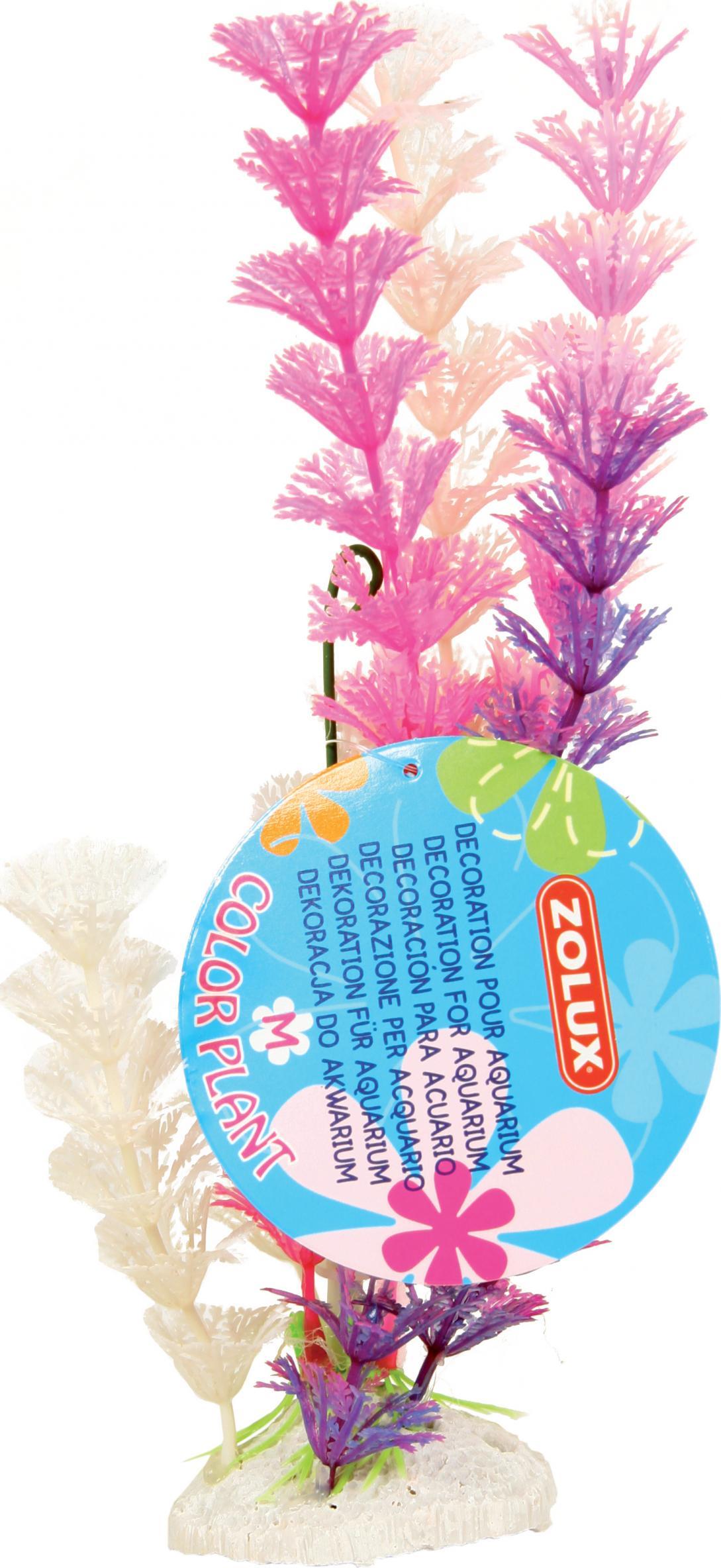 Zolux ZOLUX Rostlinná dekorace Barva Plant M různé barvy