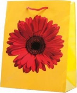 Canpol TG-20 BAG Animals, Exotic A5 23x17,5cm mix