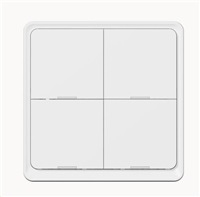 Tesla Smart Switch Quatro Battery