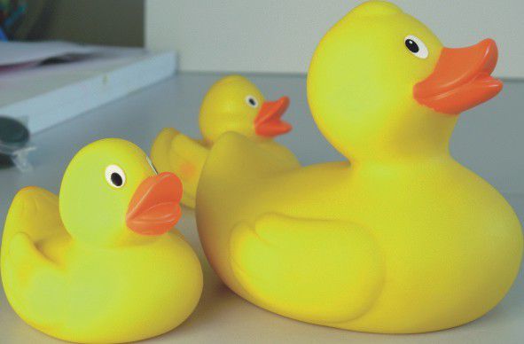 Lena Duck Family 65543