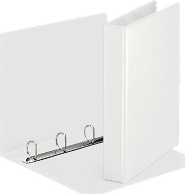 Binder Esselte Panorama 4-prsten A4 38 mm bílý (10K171G)