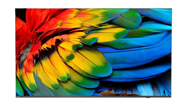 Philips/65HFL6214U/12/65 /4K UHD/Gray