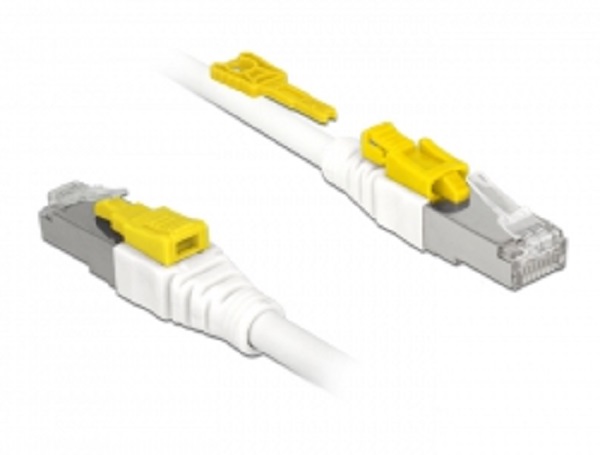 DeLOCK Patchkábel RJ45 Secure Cat.6a S/STP