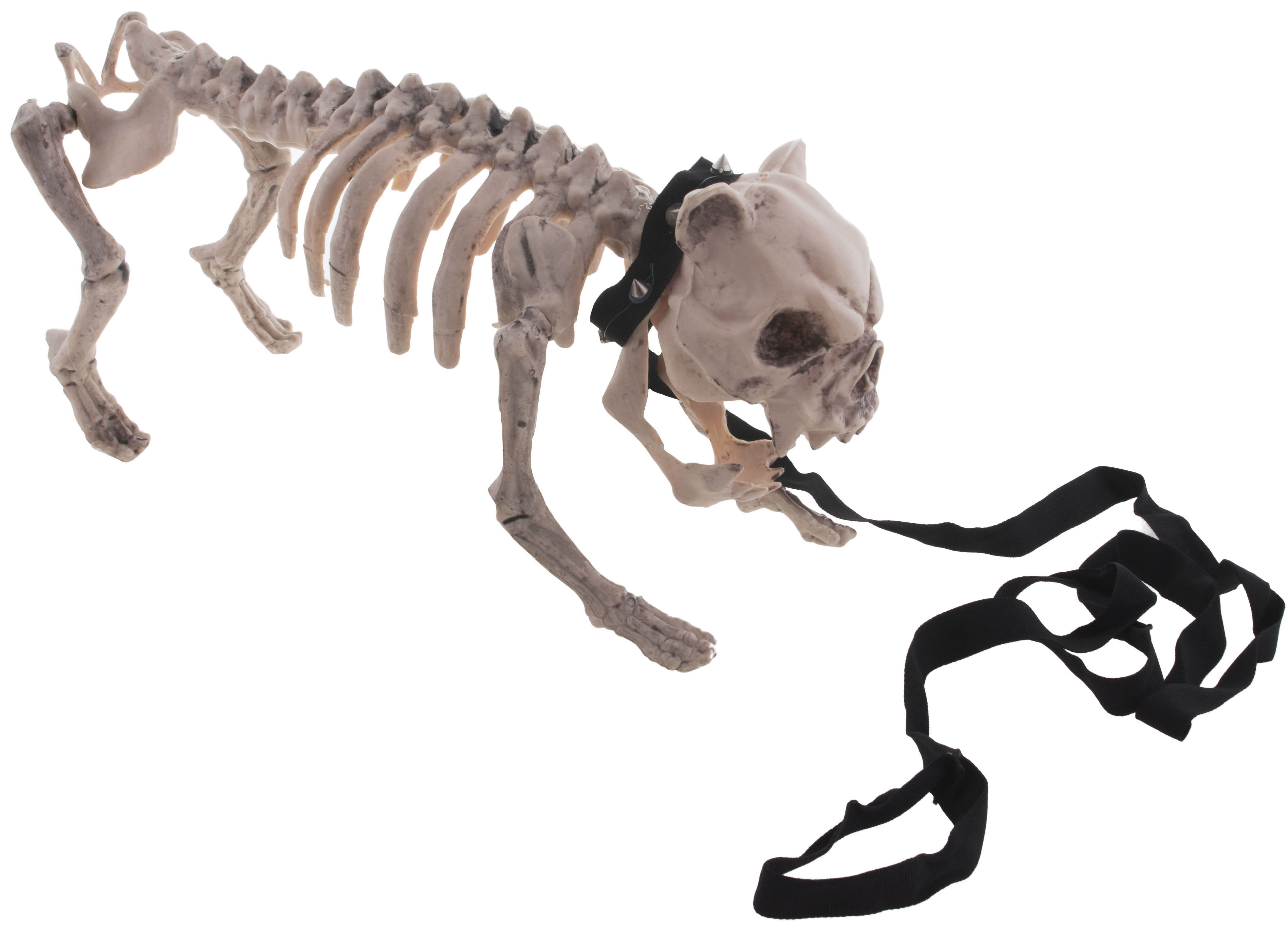 Halloween kostra psa, 43x15x21 cm