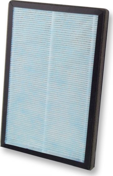 Esperanza Filtr do oczyszczacza Bora