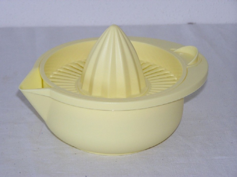 Lis na citrusy plast