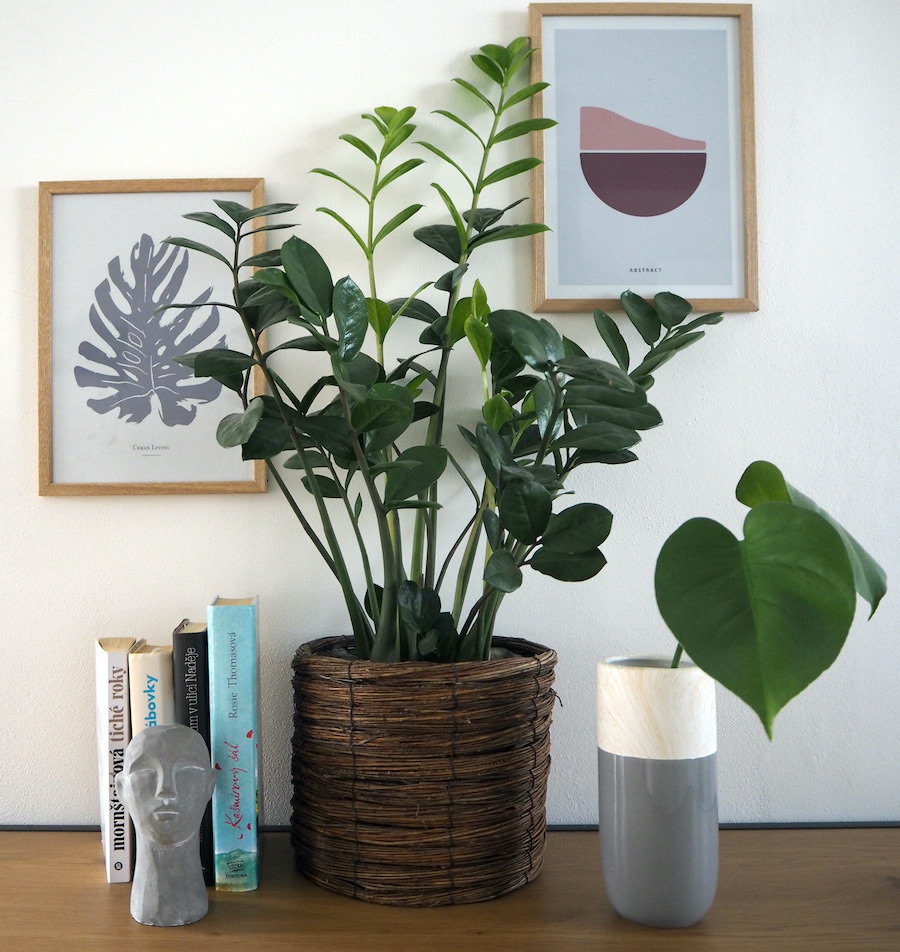 Váza 9x9x19,6 cm keramika