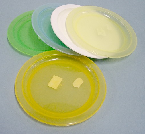 Tanier plytký plast