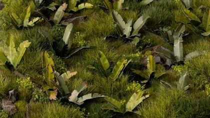 Gamers Grass : Laser Plants - Banana Tree - Banana tree