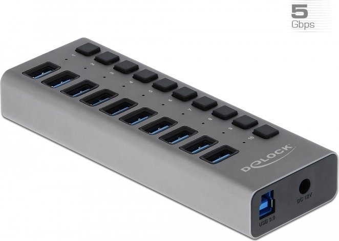 Hub USB Delock Delock Externer Supeed USB Hub MIT 10 Ports + Schalter