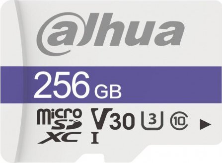 Paměťová karta DAHUA TF-C100/256GB 256GB