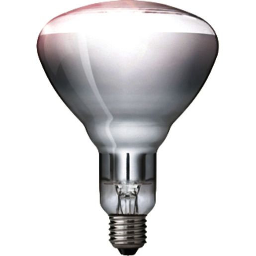 Philips Infrarot-LP. 240V-250W/E27 SAT/PHILI 2IR 250 C R125/240V 871150057523425