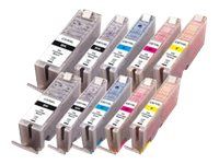 Tinte PI100-311 (10er-Pack)