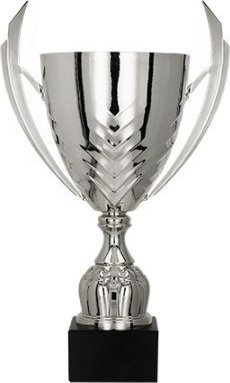 Victoria Sport Cup Metal Silver