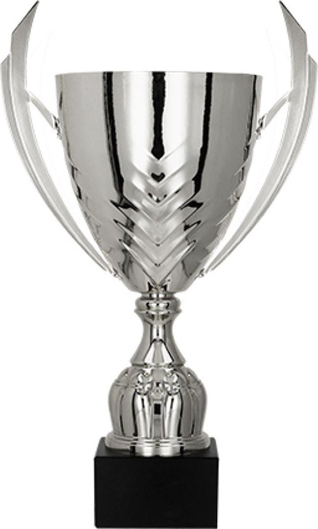 Victoria Sport Cup Metal Silver