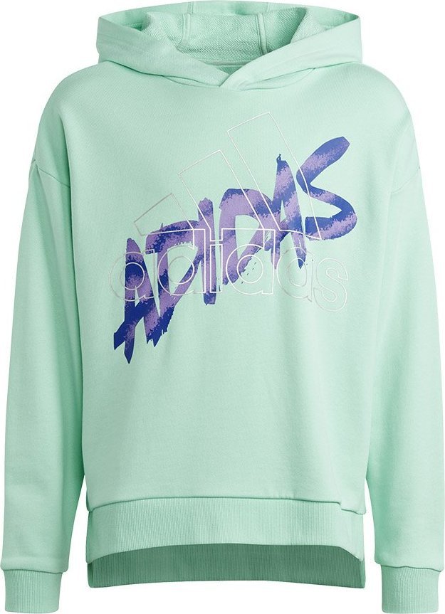 Mikina Adidas adidas D Hoody Jr HR5825
