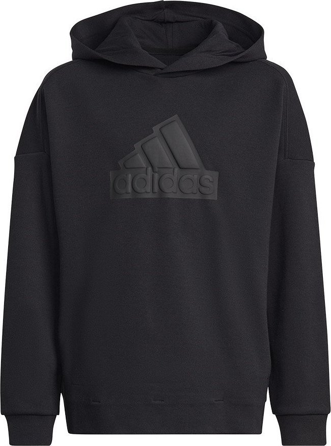 Mikina Adidas adidas FI Logo HD Jr HR6301