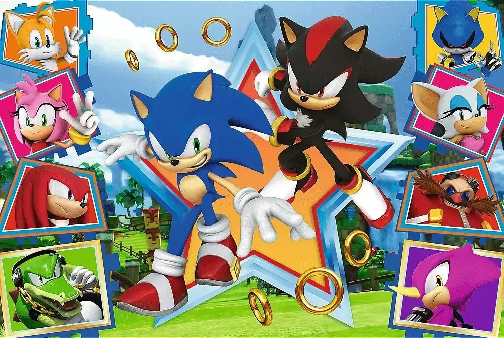 Trefl Puzzle 100 dílků Seznamte se se Sonicem Sonic