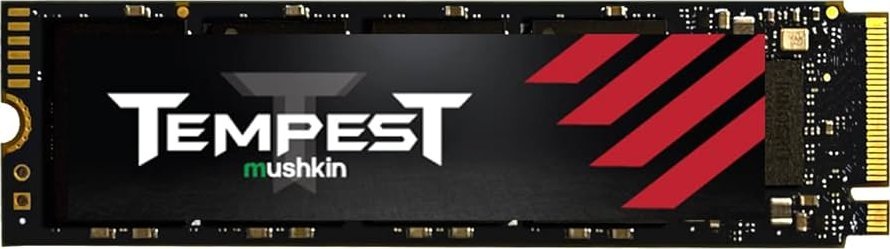Tempest 256 GB, SSD