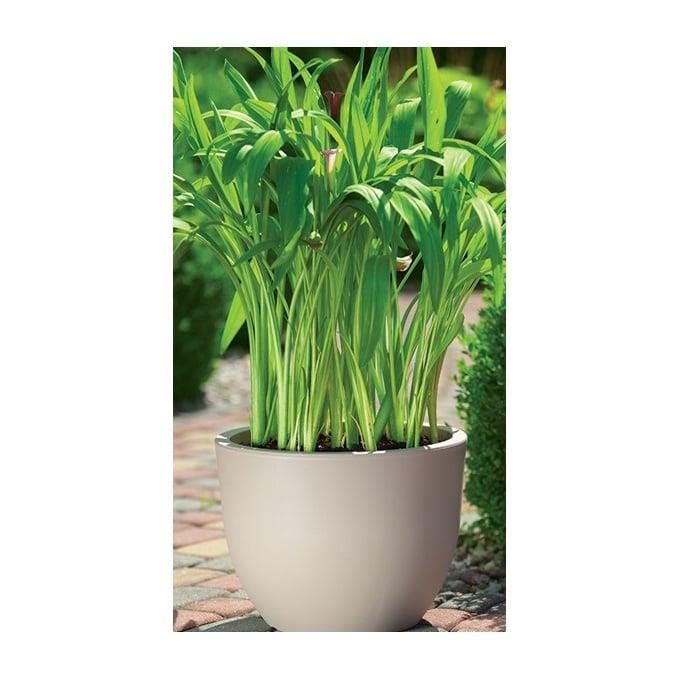 Hrniec Forma Plast Okrúhly 2731, plast, V 35 cm, hnedá