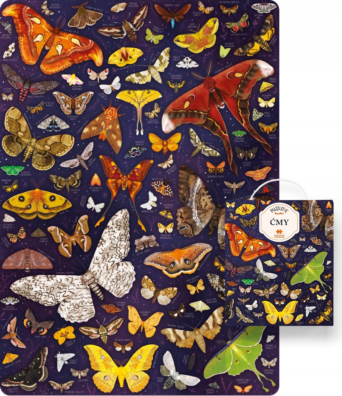 CzuCzu Puzzle 1000 dílků Puzzlove Ämy