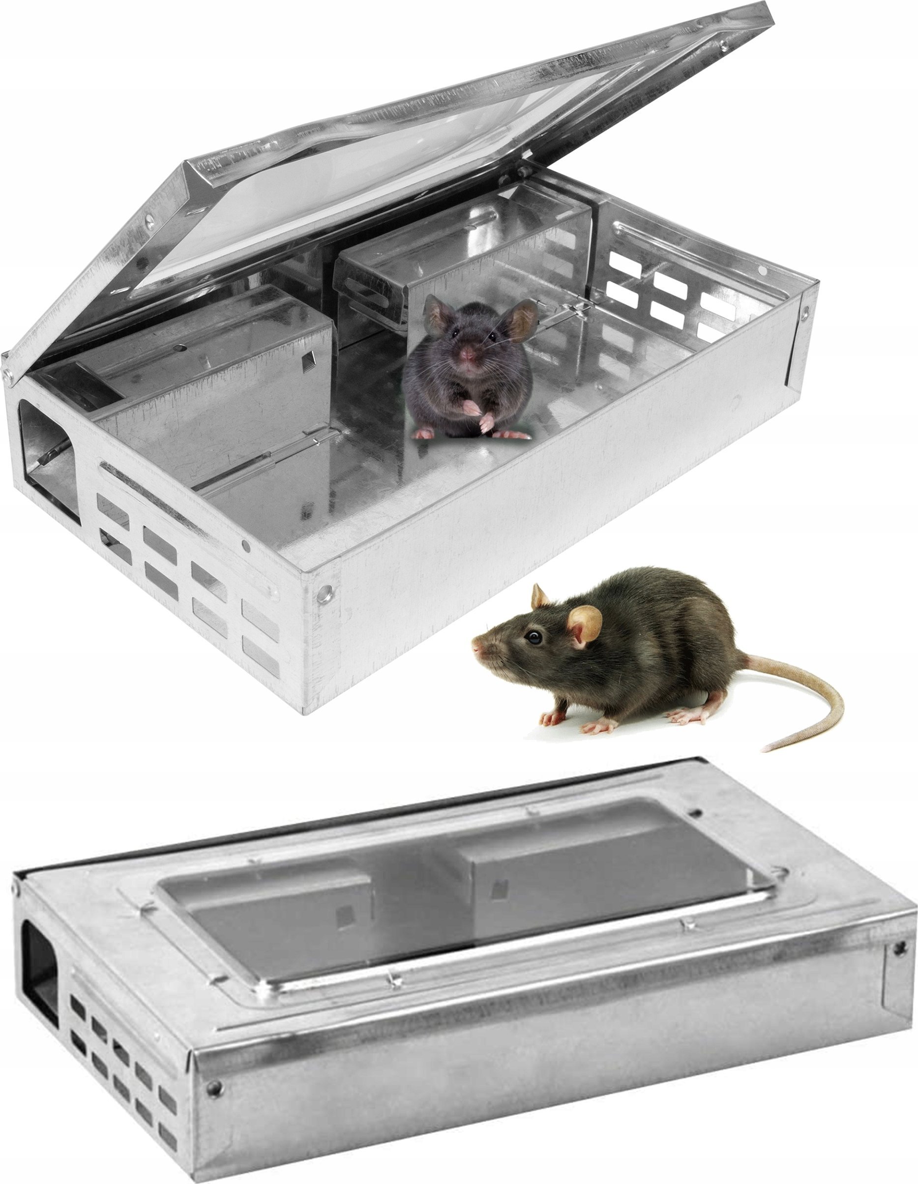Q25B LIVE CAGE MUSE TRAP
