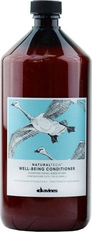 NoName DAVINES_Natural Tech Well-Being Conditioner hydratační aromaterapeutický kondicionér pro usnadnění rozčesávání 1000ml