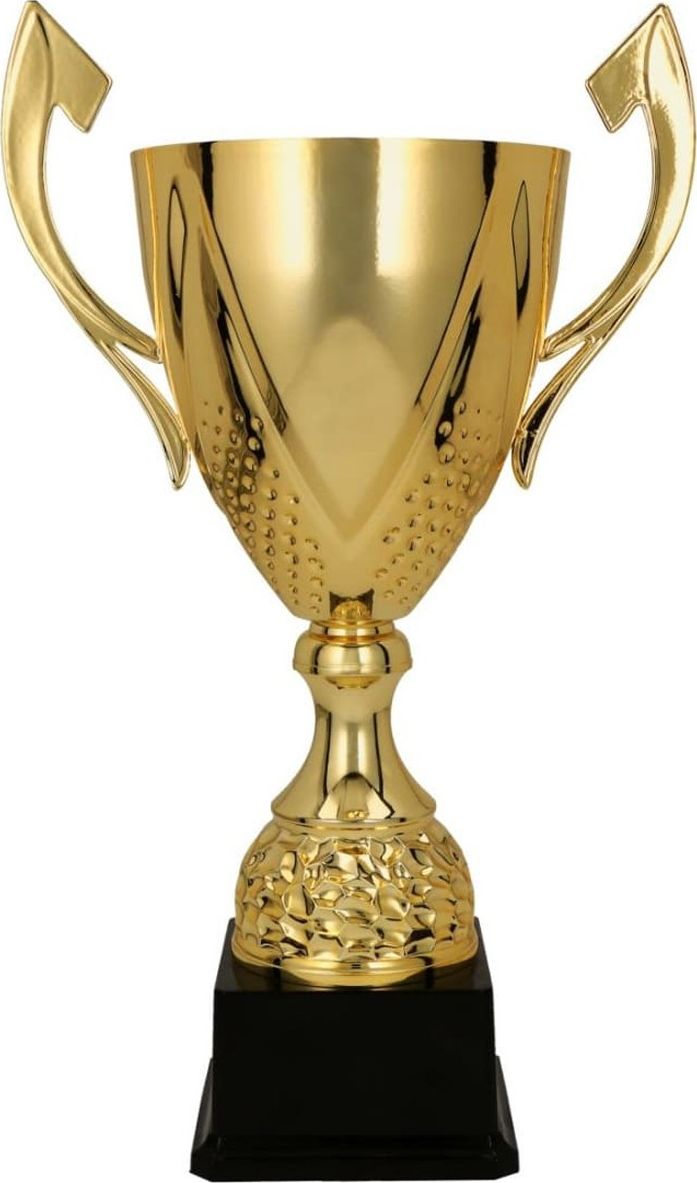 Triumph Cup kovový zlatý DARKA 3133F