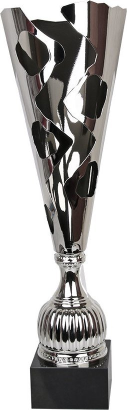 Tryumf  Cup NT935