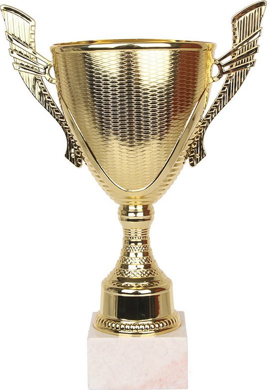 Tryumf Tryumf Cup W1680
