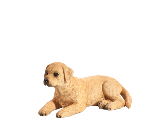 Mojo Labrador štěně