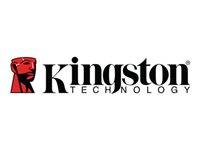Kingston Flash SSD 2000G NV3 M.2 2280 PCIe 4.0 NVMe SSD