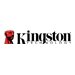 Kingston Flash SSD 500G NV3 M.2 2280 PCIe 4.0 NVMe SSD