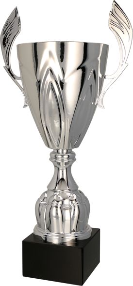 Triumph Cup kovový stříbrný (4127F)