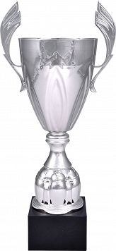 Victoria Sport Cup Metal Silver 4127C