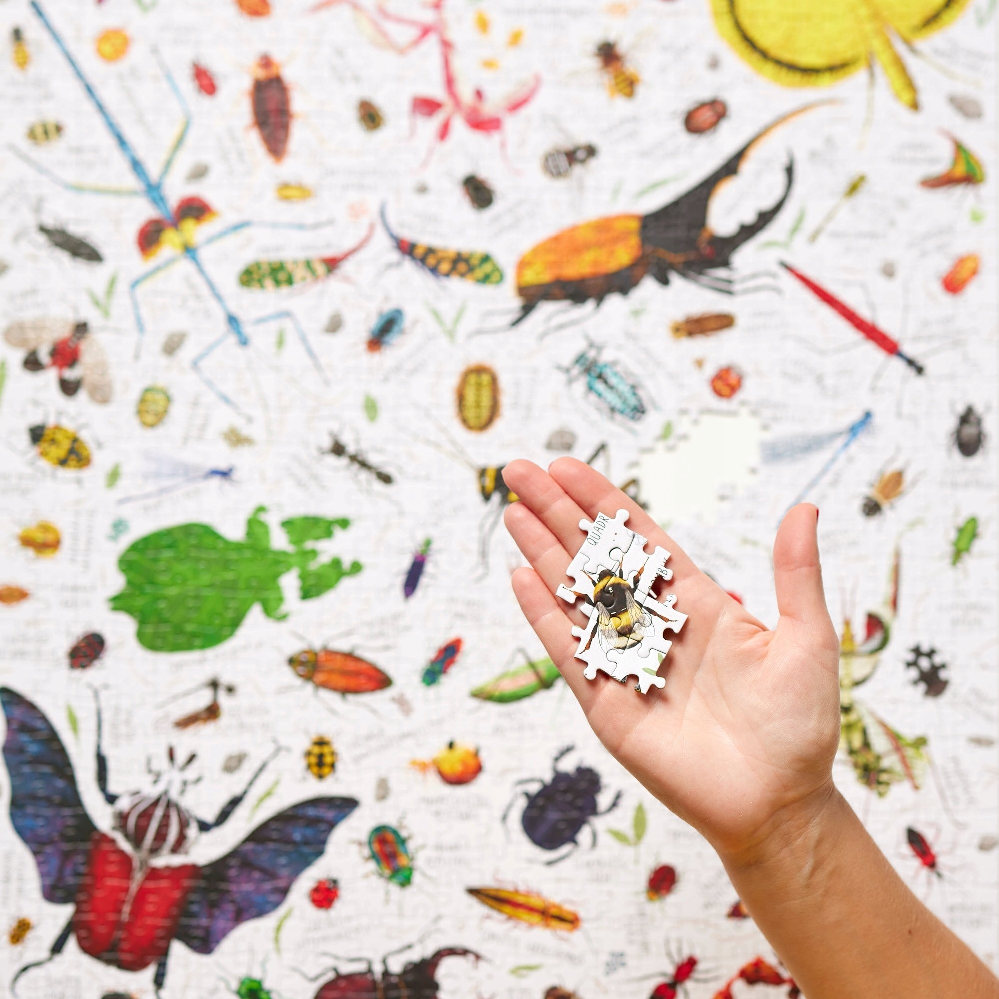 CzuCzu Puzzlove Hmyz Puzzle 1000 dílků