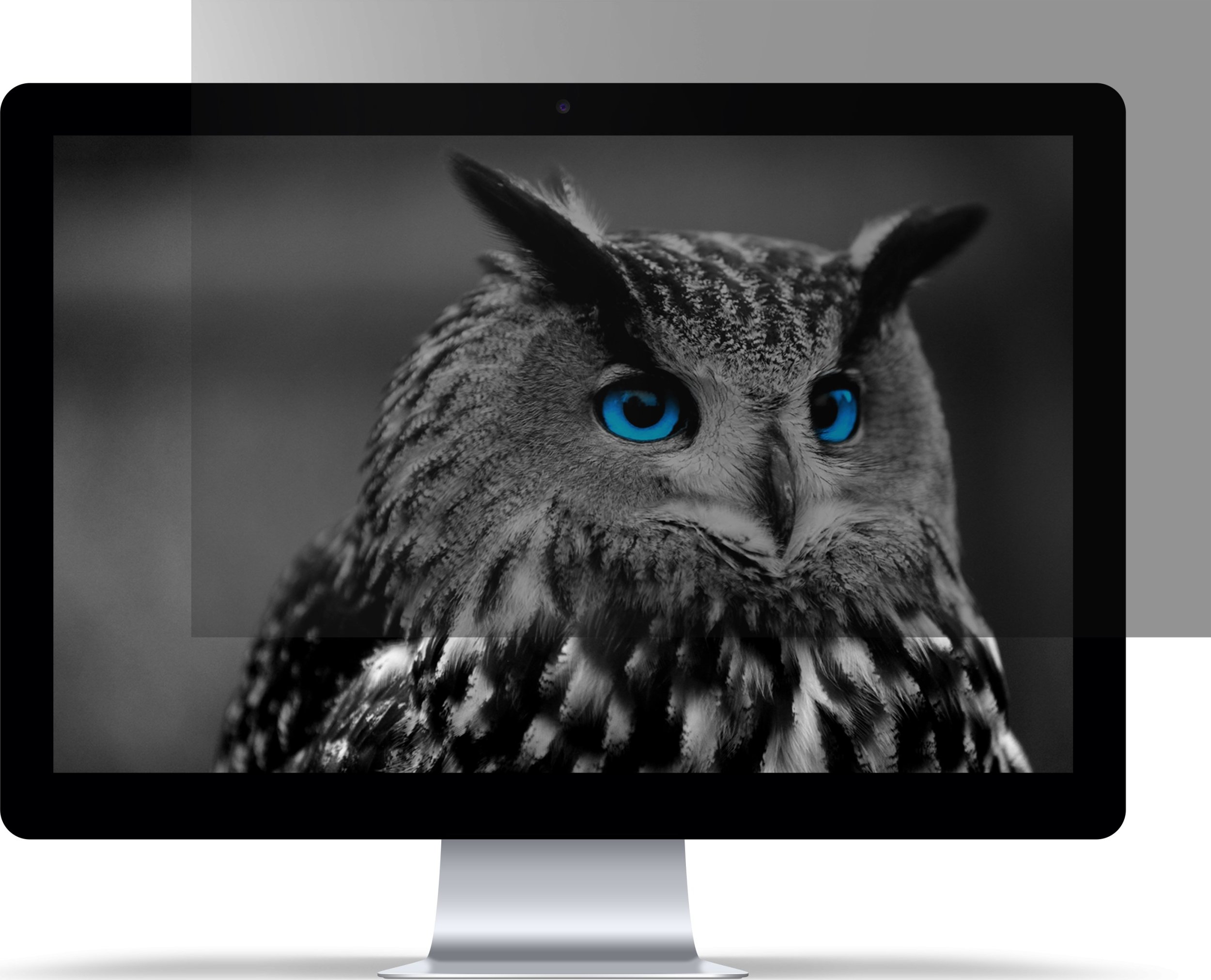 Privátní filtr Natec OWL 16  16:10