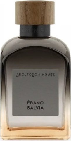 Adolfo Dominguez Pánský parfém Adolfo Dominguez Bano Salvia EDP (120 ml)