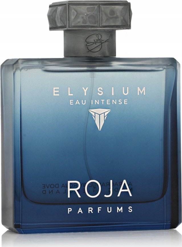 ROJA Parfums pánský parfém Roja Parfums Elysium Eau Intense EDP 100 ml
