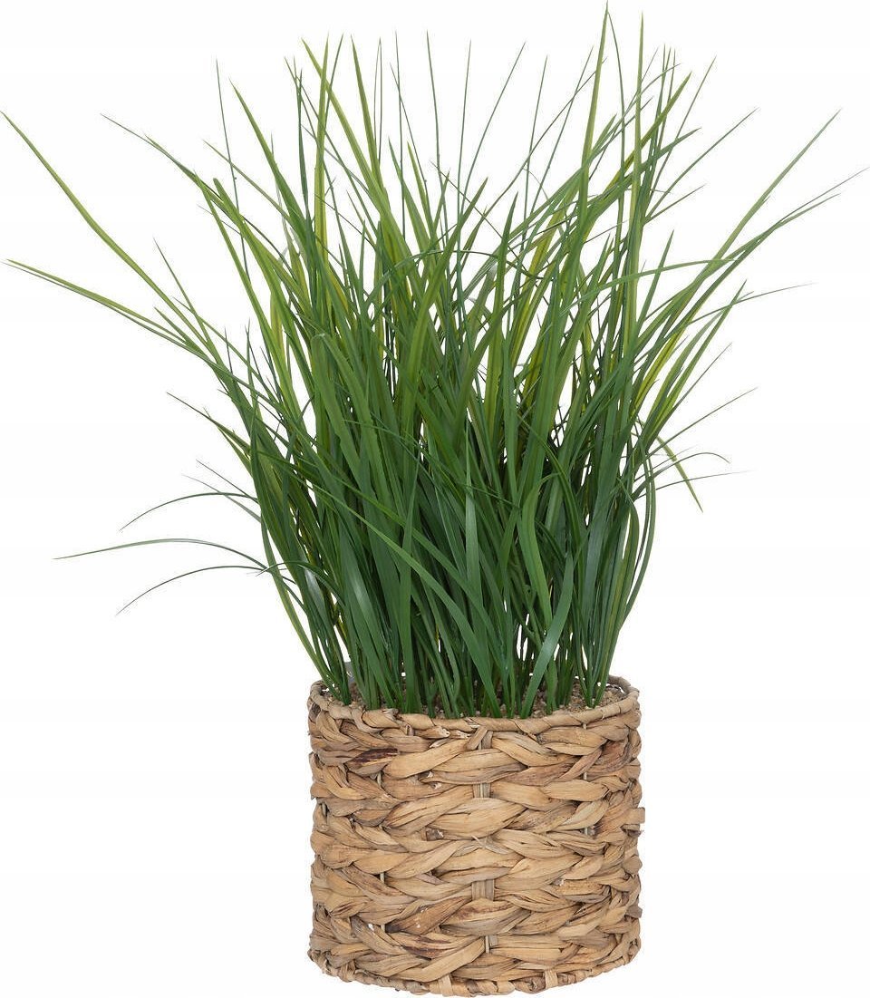 Atmosphera Umělá tráva v květináči s vodním hyacintem, výška 70 cm