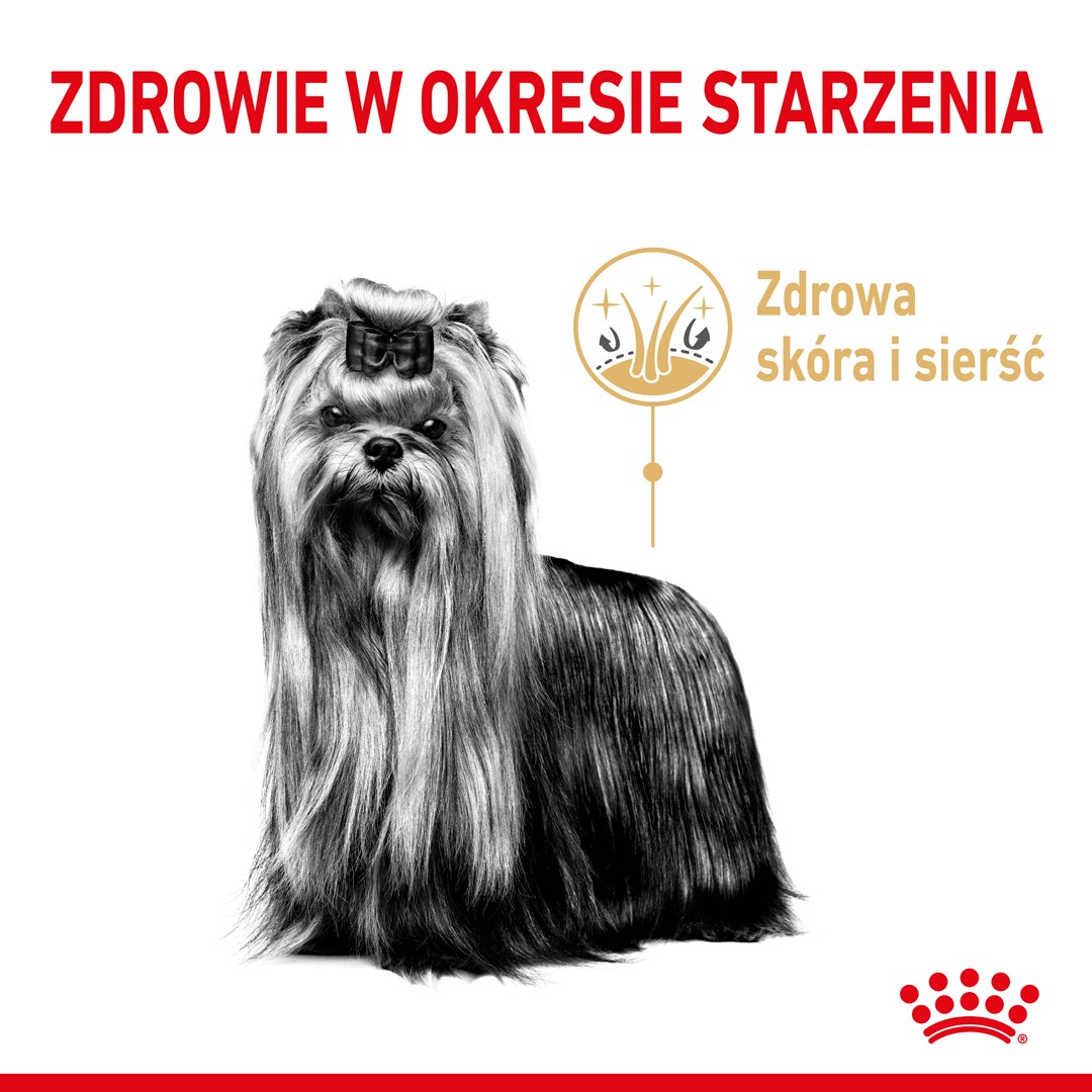 Royal Canin Yorkshire Aging 8+ - suché krmivo pro starší psy - 3kg
